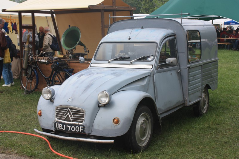 Kastenente mit handgemaltem historischen Nummernschild